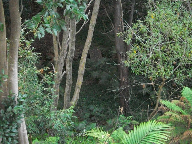 85 Seaview Parade, Kalimna VIC 3909