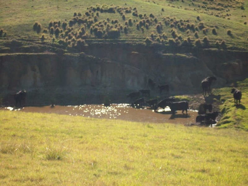 1B/15 Kleinitz Road, Nungurner VIC 3909