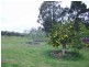 182 Cunningham Road, Swan Reach VIC 3903