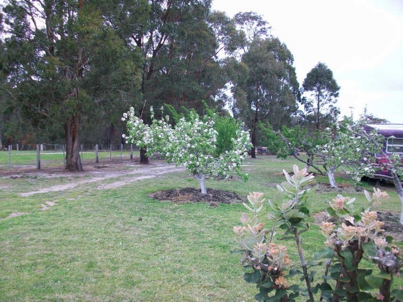 182 Cunningham Road, Swan Reach VIC 3903