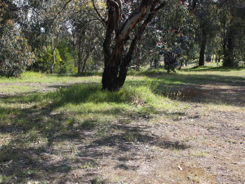 79 Kingscove Blvd, Metung VIC 3904