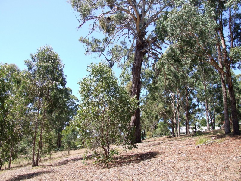 111 Cantrills Road, Metung VIC 3904