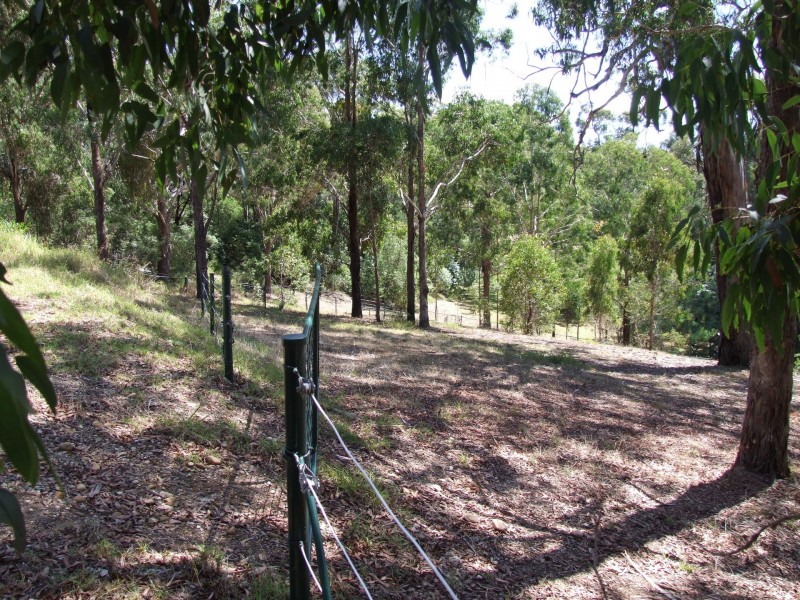 111 Cantrills Road, Metung VIC 3904