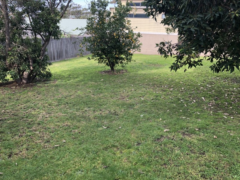 3 Howitt Avenue, Metung VIC 3904