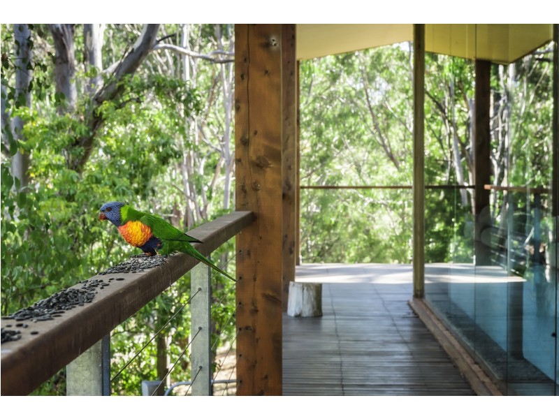 6 Lawrence Court, Metung VIC 3904