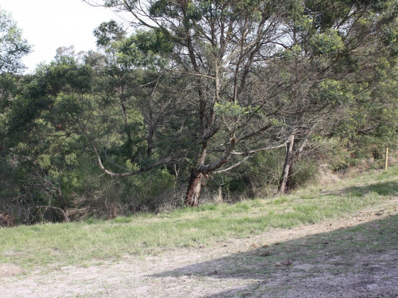 2/4 Swan Street, Swan Reach VIC 3903