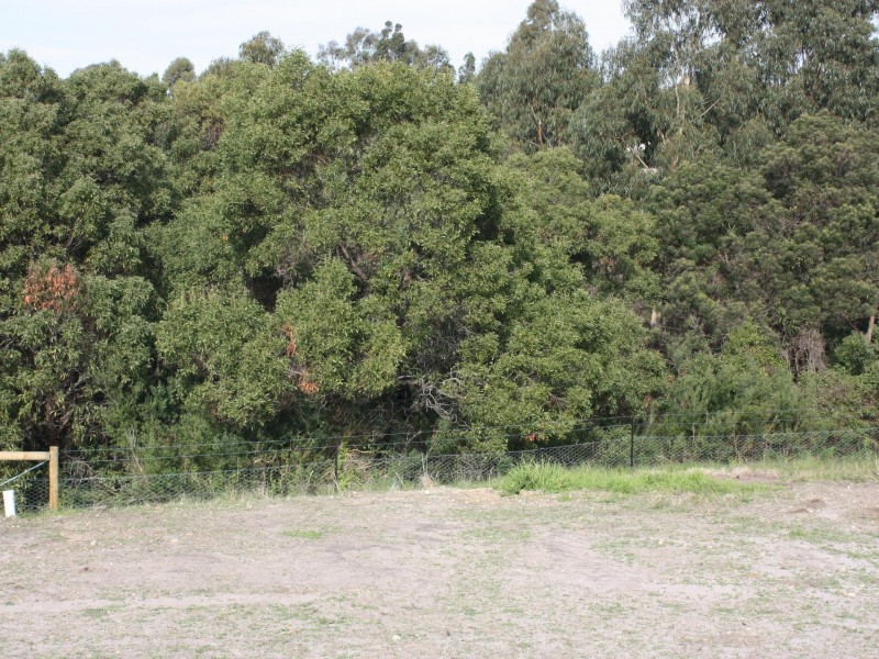 2/4 Swan Street, Swan Reach VIC 3903