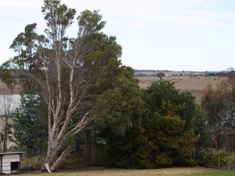 30 Whelans Road, Swan Reach VIC 3903