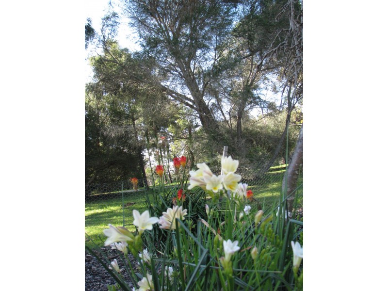 29 Wood Street, Metung VIC 3904