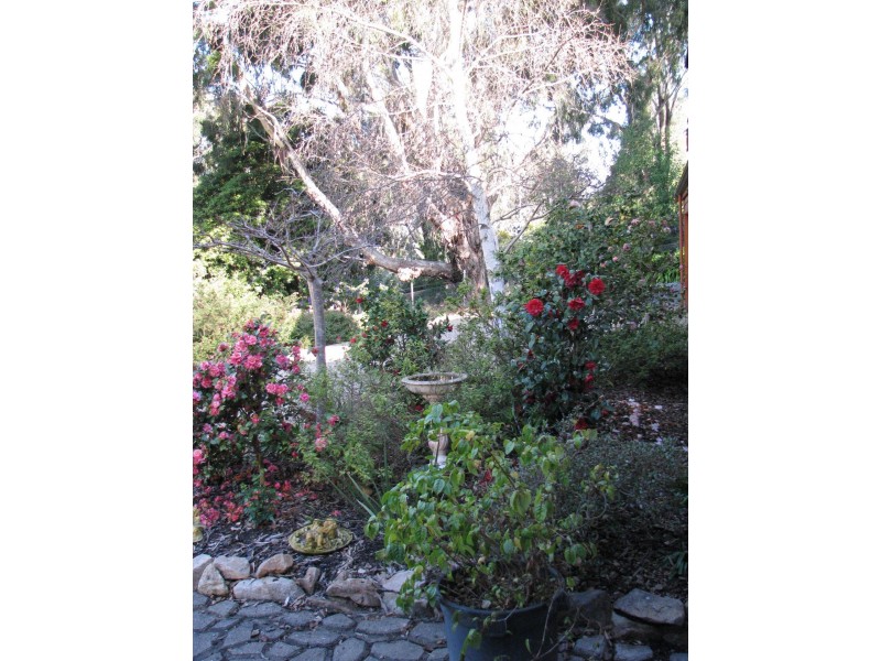 29 Wood Street, Metung VIC 3904