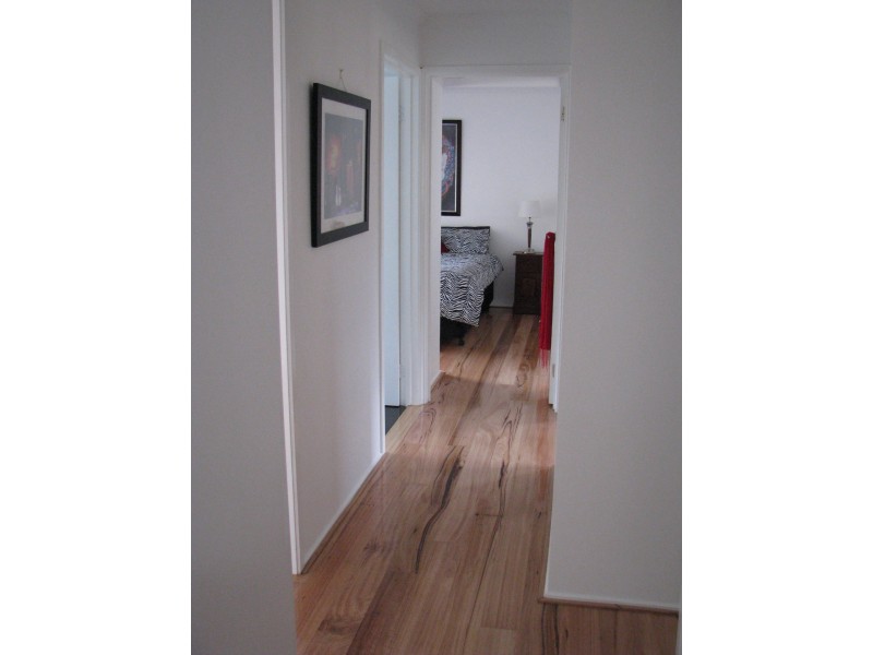 29 Wood Street, Metung VIC 3904