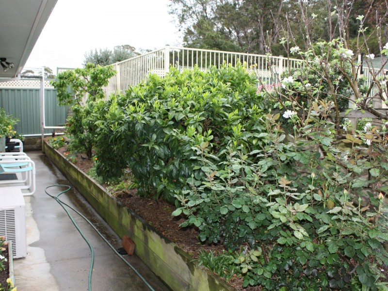 16 Fell Place, Metung VIC 3904