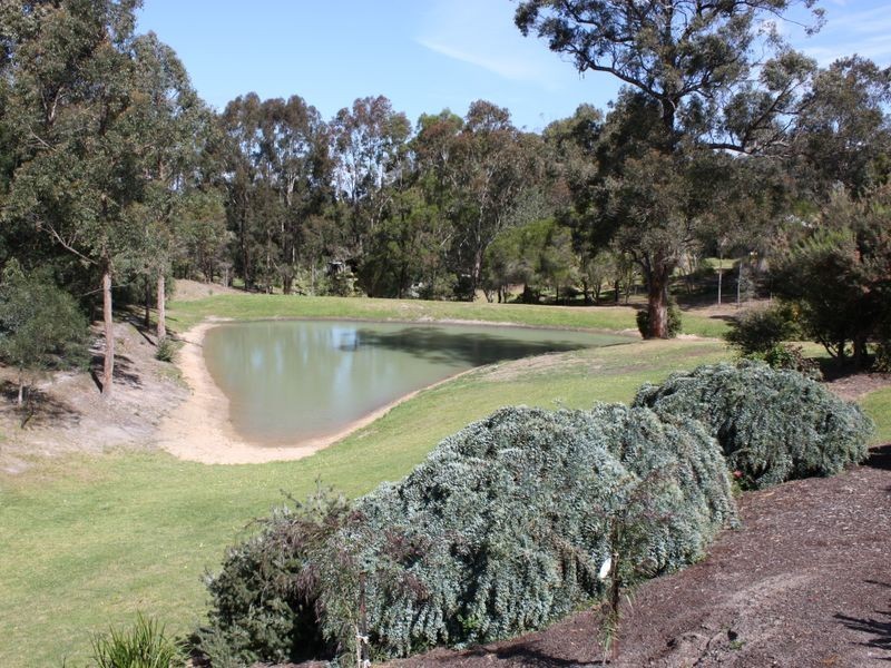 Nungurner VIC 3909
