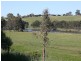 Swan Reach VIC 3903