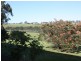 Swan Reach VIC 3903