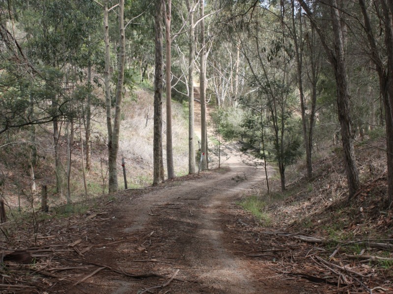 275 Tambo Upper Road, Swan Reach VIC 3903