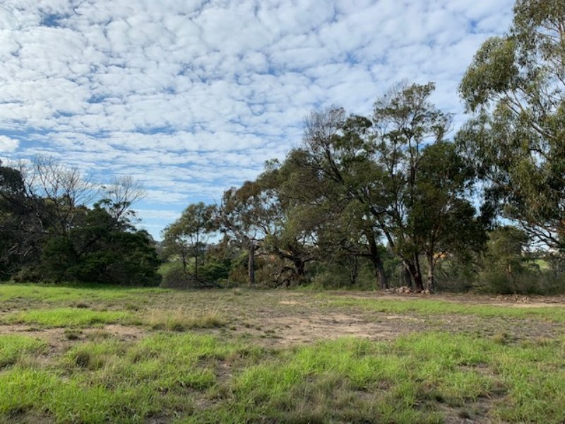 31 Swan Drive, Metung VIC 3904