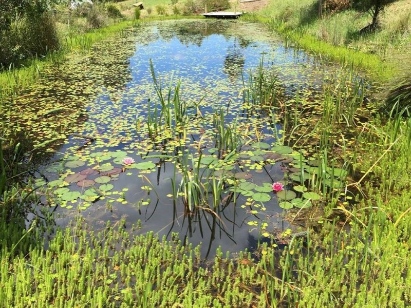 182 Nungurner Jetty Road, Nungurner VIC 3909