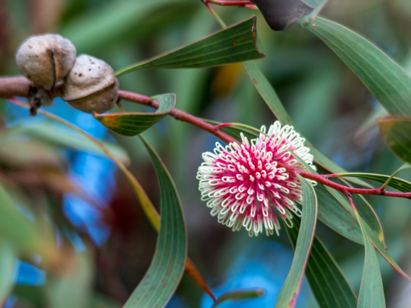 182 Nungurner Jetty Road, Nungurner VIC 3909