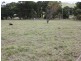 Lot 1 815 Nungurner Road, Metung VIC 3904