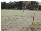Lot 1 815 Nungurner Road, Metung VIC 3904