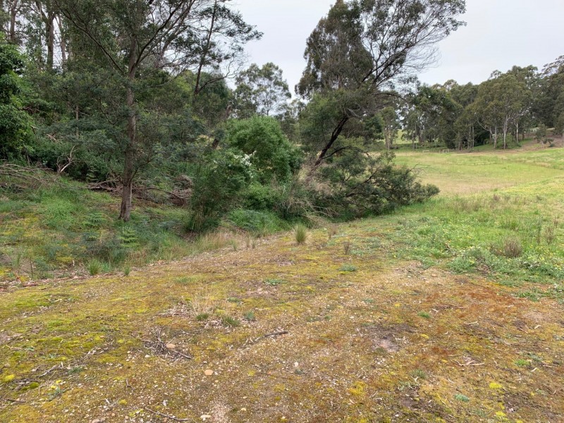 4 Outlook Drive, Metung VIC 3904