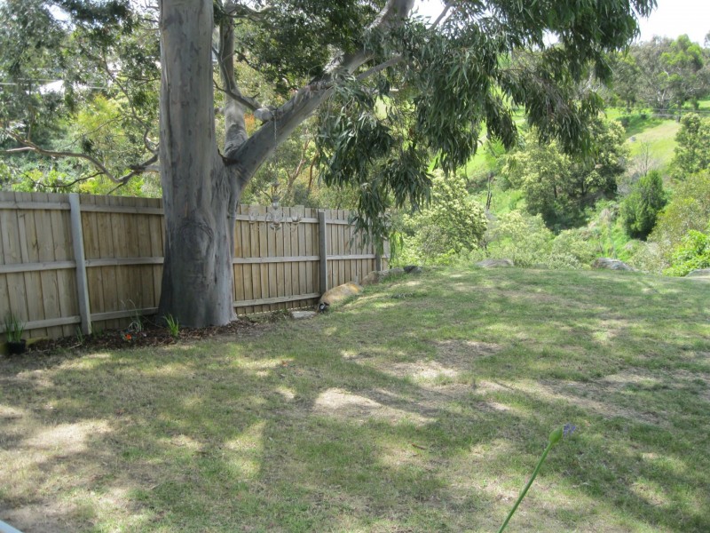 13 Lake Grove, Metung VIC 3904