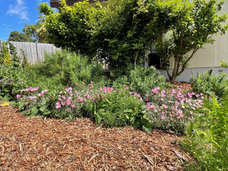 10 Adsal Court, Metung VIC 3904