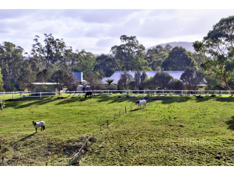 19 Gully Road, Nowa Nowa VIC 3887