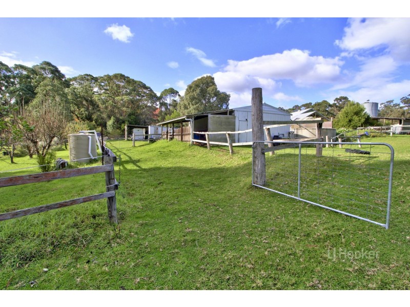 19 Gully Road, Nowa Nowa VIC 3887