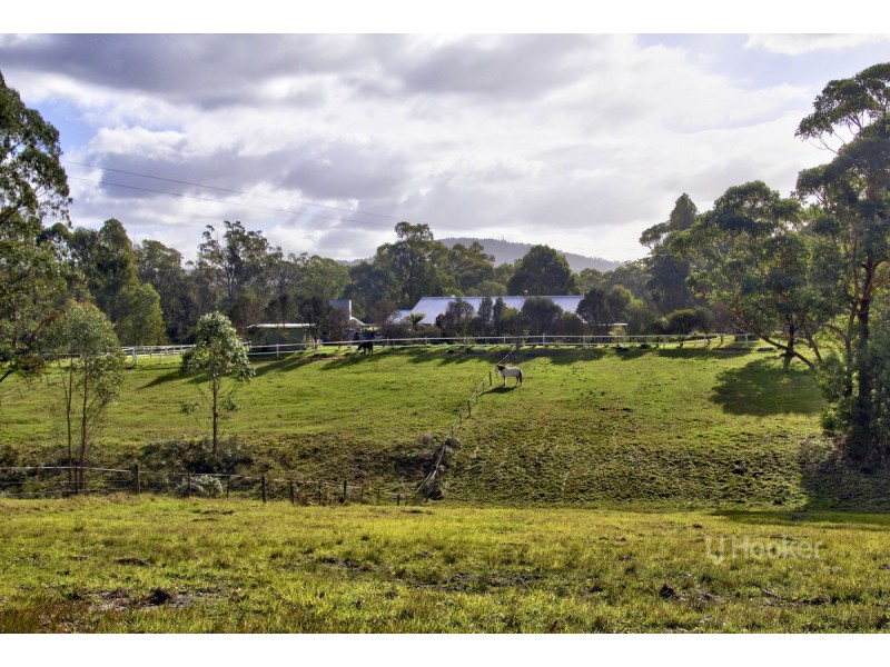 19 Gully Road, Nowa Nowa VIC 3887