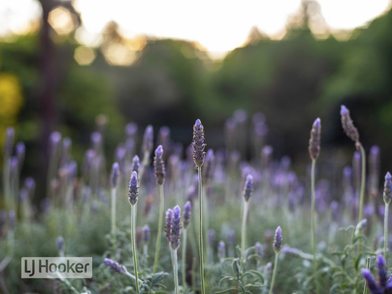 15 Heaths Road, Metung VIC 3904