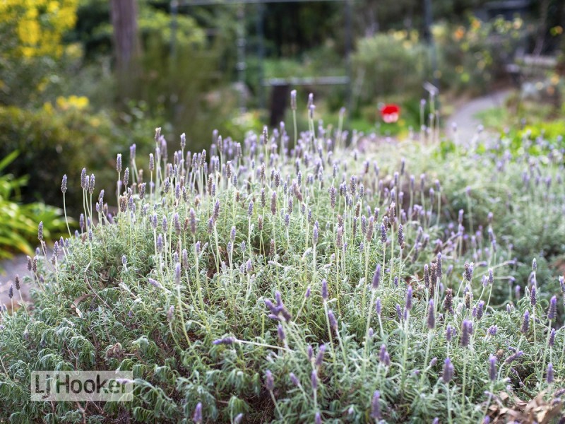 15 Heaths Road, Metung VIC 3904