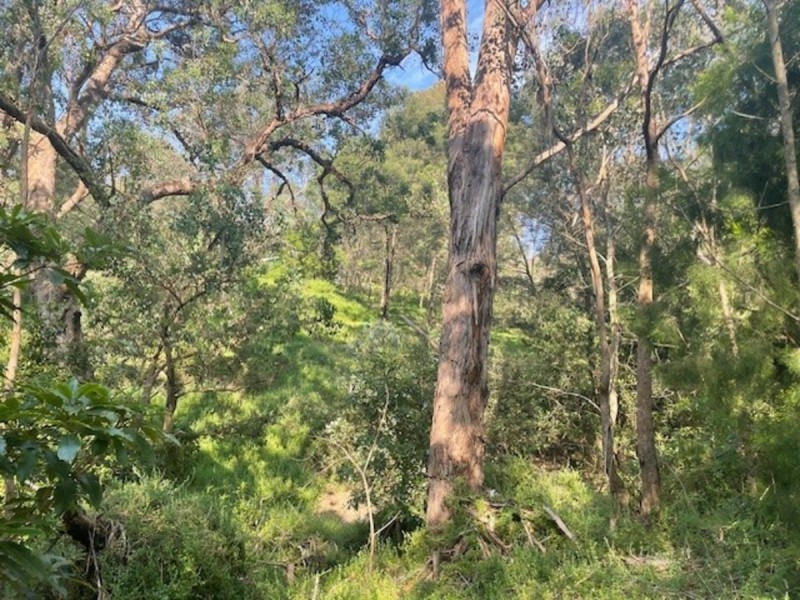 25 Loop Road, Nungurner VIC 3909