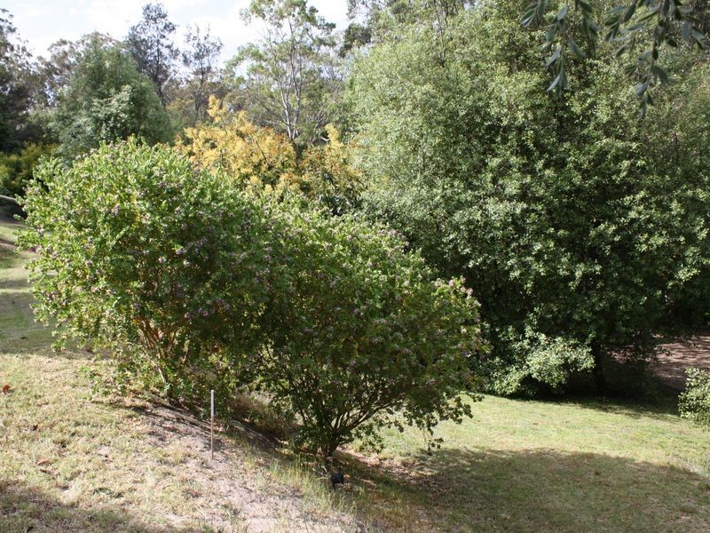 Metung VIC 3904