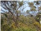 112 Stirling Road, Metung VIC 3904