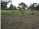 77 Park Road, Metung VIC 3904