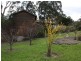 77 Park Road, Metung VIC 3904