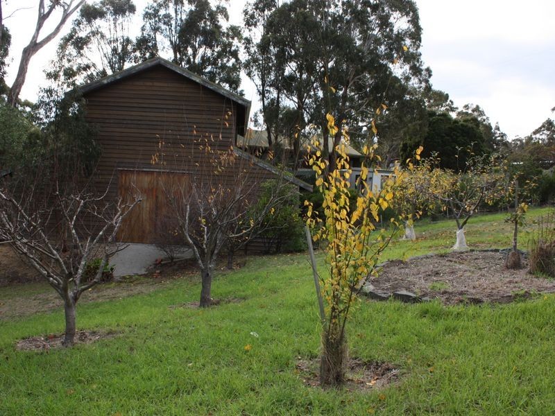 77 Park Road, Metung VIC 3904