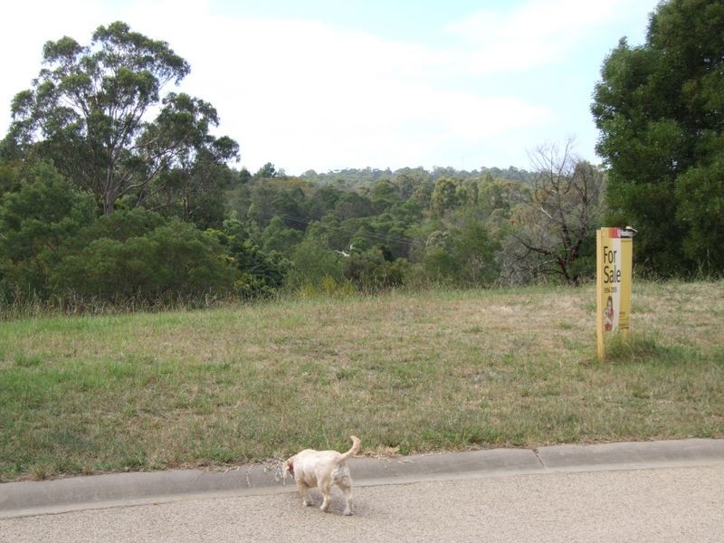 6 Banool Close, Metung VIC 3904