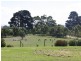 110 Normans Road, Metung VIC 3904