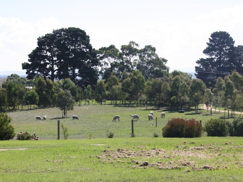 110 Normans Road, Metung VIC 3904