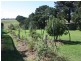 110 Normans Road, Metung VIC 3904