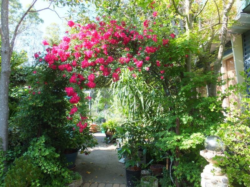 20 Waterholes Road, Metung VIC 3904