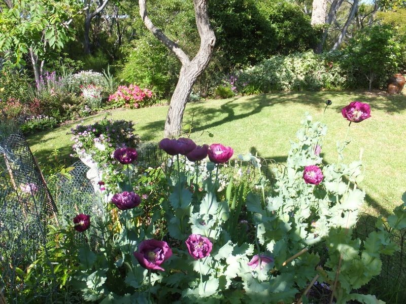 20 Waterholes Road, Metung VIC 3904