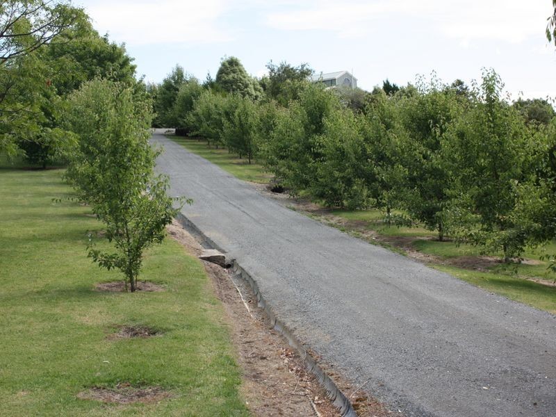 361 Tambo Upper Road, Swan Reach VIC 3903