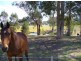 Swan Reach VIC 3903
