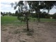 3 B Hardys Road, Metung VIC 3904