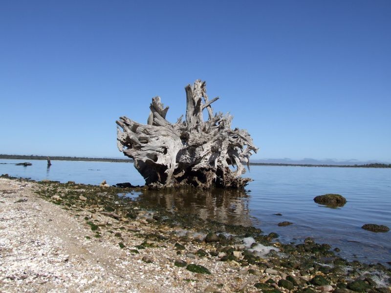 Tambo Bluff Estate, Metung VIC 3904