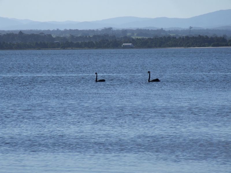 Tambo Bluff Estate, Metung VIC 3904